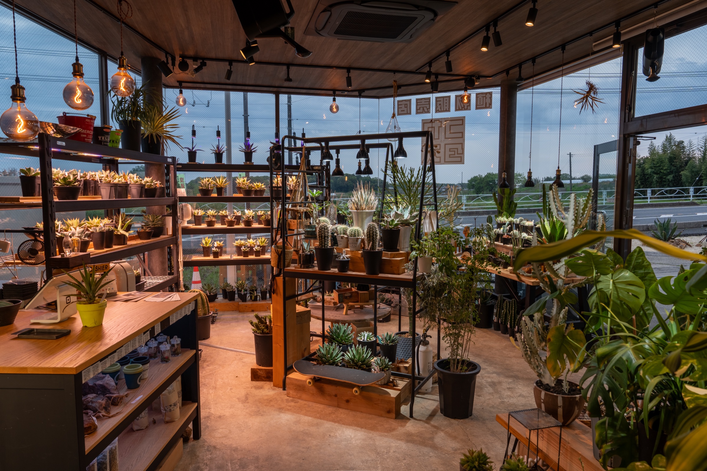 コヤタス - 観葉植物と暮らしの雑貨のお店(夕暮れの店内)